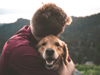 Mascotas sin desparasitar pueden provocar zoonosis